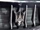 ɯ Levante Levante 2016 3.0T Levante S װ
һҳ